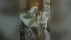 महाराष्ट्र