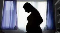 ශුක්‍රාණු , ඩිම්බ