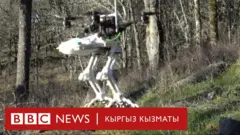 Дрон