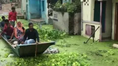 नर्मदा