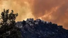 ما وراء حرائق الجزائر المدمرة؟