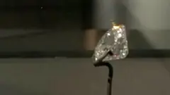 বারজারমাসিন ডায়মন্ড