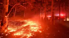 ባርዕ ሓዊ ኣውስትራልያ