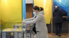 вибори