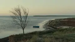Додому