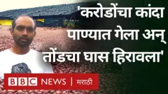 पावसामुळे शेतीचं नुकसान