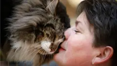 cat and its owner
