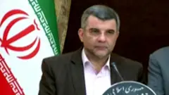 İran Sağlık Bakan Yardımcısı İraj Harirçi'nin dünkü basın toplantısında sık sık terini sildiği kameralara yansımıştı