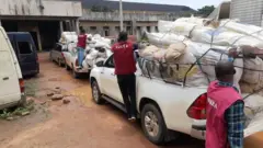 Ngalaba NDLEA na-ebuso ibu ọgwụike agha na Naịjirịa