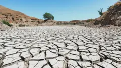 صورة من حلقة دنيانا عن التغير المناخي