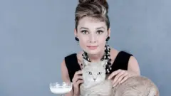 گربه