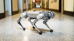 Mini çita