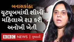 મિત્તલ બહેન