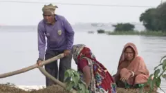 সুনামগঞ্জ হাওর