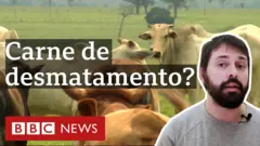 Vídeo