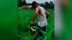 भाँडा ठटाउने, आगो बालेर धुवाँ पुत्ताउने, ठूलो स्वरमा कराउने आदि गरेपनि सलह धपाउन नसकिएको उनीहरूको गुनासो छ।