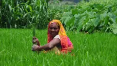 किसान, महिला, खेती