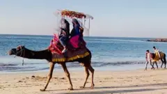 સોમનાથ