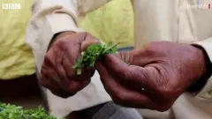 किसान