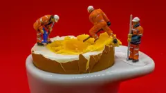 Інженери риють яєчний жовток