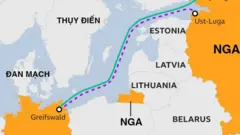 BBC graphic