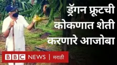 ड्रॅगन फ्रूट