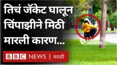 चिंपाझी