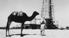 تیل