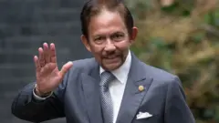 ব্রুনেইয়ের সুলতান হাসানাল বলকিয়াহ