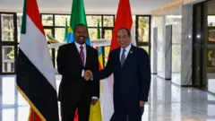 الرئيس المصري عبد الفتاح السيسي ونظيره الإثيوبي أبي أحمد