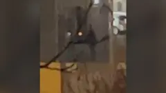 Pucnjava Hamburg