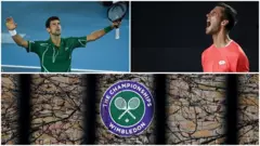 Tenis