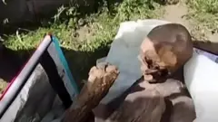 मानव कंकाल