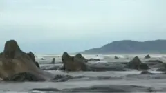 ځنګل