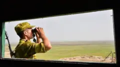 чек арачы