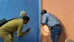 దోమల వేట