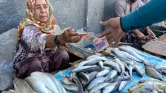 مچھلی