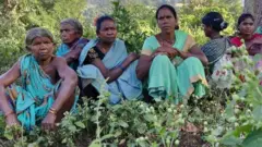 ఆదివాసీ ప్రాంతాల విభజనలో లోపాలపై అభ్యంతరాలు వ్యక్తమవుతున్నాయి