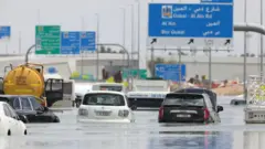 Dubai'de sel