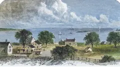 Ilustração de pequena colônia