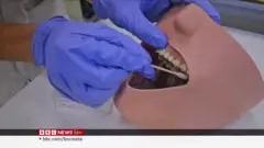 သိုးမွေးက ထုတ်မယ့် သွားတိုက်ဆေး