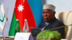 ऑरगनायझेशन ऑफ इस्लामिक कोऑपरेशन 