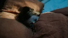 இரவு நேர திகில் அனுபவங்கள்