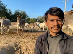 ગધેડાનો તબેલો 