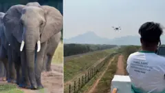 రైల్వే ట్రాక్స్ పై ఏనుగులు 