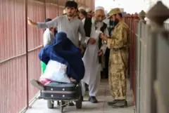 افغان شہری، پاکستان