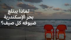شواطئ مغلقة وبحر جائع: لماذا يبتلع بحر الإسكندرية ضيوفه كل صيف؟