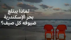 بحر الإسكندرية