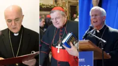 Carlo Maria Viganò, Raymond Leo Burke e Joseph E. Strickland