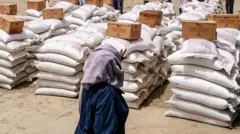 ረድኤት እተቋምት ሰበይቲ